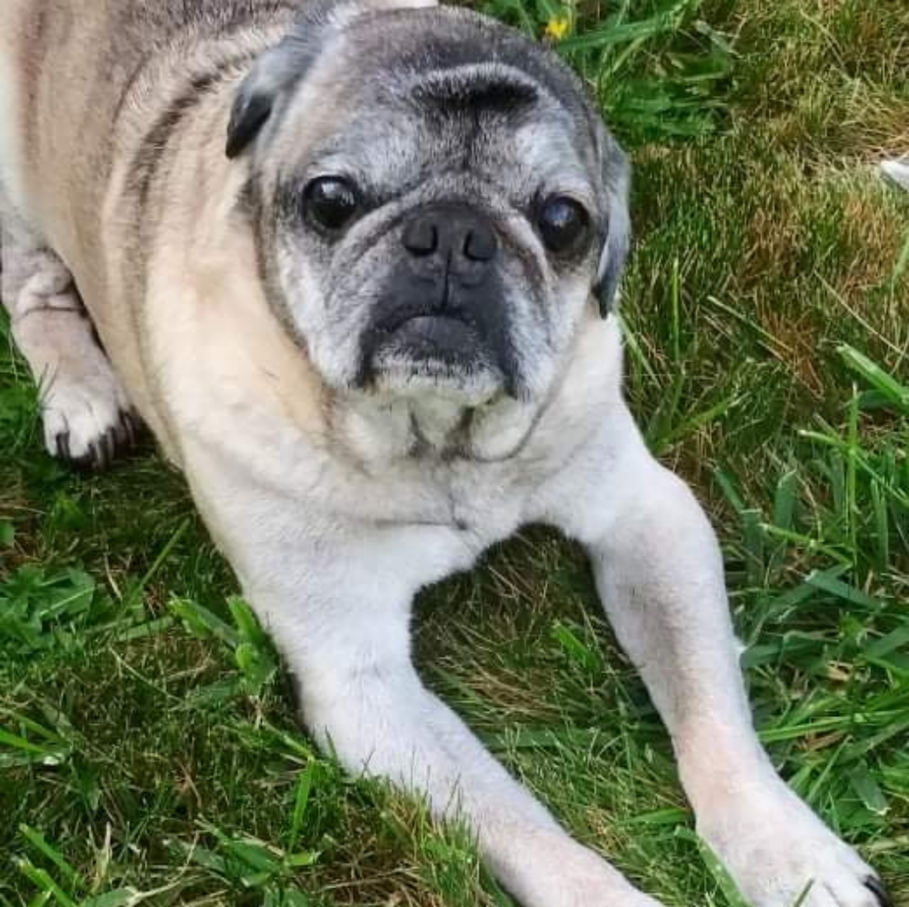 Meet your Posher, Jonathan